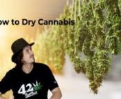 ----Intended for the 18 &amp; over----nnSebastian Good talks about the best way to dry Autoflowering Cannabis.nnThanks to:nn@islandbuds420n@blazin_skywalkern---------------------------------------------------------------------- nDon&#39;t forget to follow us on our social media sites! nnInstagram: @Fastbuds_Genetics @Fastbuds_Apparel nnFacebook: @FastBudsGenetics @fastbudsapparel nnTwitter: @Fast_Buds