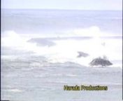 Incredible giant waves in Hawaii, at Keaukaha, Hilo, in November 1996. Harada Productions filmed high surf pouring through the parking lot at King&#39;s Landing, covering the breakwall at Radio Bay, and overwhelming Richardson&#39;s. Waves dwarf Onekahakaha Beach Park. A bulldozer removes boulders near a rental home that washed off its foundation and landed 60 feet away. A storm low to the NE of the state produced this swell; it impacted the N &amp; NE shores of all the islands, with occasional 20-foot