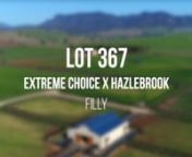 MM2021 - LOT 367 EXTREME CHOICE X HAZLEBROOK - F
