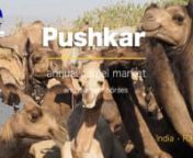 00:42 • the camel marketn02:27 • traditional musiciansn05:05 • dromedariesn08:18 • cows and horsesn11:21 • Kalbeliya musicians and dancersnnExplore the enchanting world of Pushkar, a major spiritual hub in Rajasthan, India. Witness Asia&#39;s largest dromedary fair and be captivated by unforgettable gypsy music and dance performances. For a deeper dive, visit our website https://www.travel-video.info/en/videos-en/pushkar-dromedary-market-and-gypsy-music-india-rajasthan.html, where you&#39;ll f
