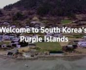 Dressed all in purple, bent-over women held long rakes aloft as they walked in a line to a lavender field to carry out some pruning on an island in southwest South Korea.nnInspired by their native balloon flower, residents of the Banwol and Bakji Islands, known as the &#39;Purple Islands&#39;, have painted their houses, roads and bridges in shades of the hue, and planted purple flowers such as lavender and asters to transform their town into a tourist attraction.nn