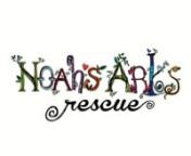 Noahs Arks Video.mp4 from noahs