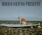 Maraya Coliving Presents: Life at Maraya from maraya