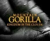 This is the opening sequence from the BBC series Mountain Gorilla.Narrated by Sir Patrick Stewart the series documents the lives of the last 700 mountain gorillas in existence, filmed in Uganda, Rwanda and Congo. Music for the series is by David Poore. Visit www.davidpoore.com