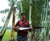 From Kurigram district, Enamul Haque sings a Bhawaiya song that expresses the sadness and loneliness of a woman who is waiting for her husband to come back from the upstream Brahmaputra River (Video: Masud Al Mamun / The Third Pole)nnFind out more:nhttps://www.thethirdpole.net/en/culture/bangladesh-displacement-disappearing-islands/nnThis video is released under a Creative Commons Attribution Non-Commercial licence: https://creativecommons.org/licenses/by-nc/4.0/
