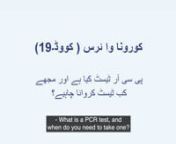 What is a PCR test? - Urdu.mp4 from urdu mp4