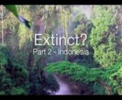 Presented by http://TheBigfootReport.comnnEXTINCT? - Episode 2 - INDONESIA - The Search For Little Foot (2012)nSpecial thanks to Adam DaviesnWritten, directed, narrated by Ro SahebinnIn the jungles of Indonesia, discoveries are being made. Could this be the missing link we&#39;ve been looking for? Homo Floresiensis and Orang-Pendek are all the rage in primatology and anthropology. We get a little help in the episode from the Orang-Pendek goto guy, Adam Davies (MonsterQuest, Is it Real?).nnThe Bigfoo