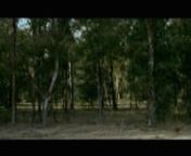 A Family driving through the woods.nnnnMuestra 12º BAFICI / Cine//B_3nnProduced by Eliana RelernCinematography Nahuel BarkinWritten and Directed by Xavier Coronelnn16mm / 2.20:1 / 2010