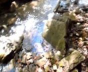 Little Brush Creek flows east into the Sequatchie River Valley.This is video from a no water scout trip in Sept 2011.Looks to be continuous class III/IV with 5 to 6 big Class V rapids.