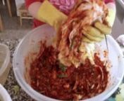 Kimchi is the basic, everyday food of most Koreans. Many people have asked me to show them how to make it, so here it is! In this video I also make radish kimchi with the same paste to save time and effort.nnEnjoy!nnFull recipe is on my blog:nhttp://www.maangchi.com/recipes/kimchi-kaktugi