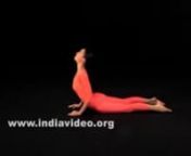 The twelve positions of Suryanamaskar by Isha Sharvani, Yoga from sharvani
