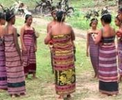 Grupu Rebenta dancing a dahur known as Lae Hali Lae - normally Dahur is only accompanied by singing, this group often has baba dooks (drums) and tala (gongs) accompanying their dance.