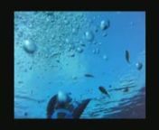 Two Guys Who Dive, Episode 29, 19 Aug 2012 from happy nokia video