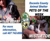 This will be the final Pets of the Week episode for this year. Pets of the Week will resume on January 8, 2013. Best wishes for a safe holiday season and a very happy New Year from Osceola County Animal Control.nn