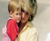 Prince Harry believed Princess Diana had faked her death in a Paris car crash to escape scrutiny.
