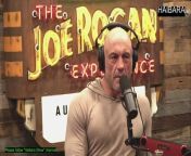 The Joe Rogan Experience Video - Episode latest update;;Gary Brecka is a human biologist and co-founder of 10X Health System.;;Channel&#39;s Latest Update :https://dailymotion.com/movie_specialist/videos;Please follow me:https://dailymotion.com/movie_specialist;The channel is always updated with the best and latest episodes;;#thejoeroganexperience ;#thejoeroganexperiencelatestepisode;#talkshow;#gameshow;#episodenew;#latestepisode;#episode2060;#GaryBrecka;;Tag : Episode 2060 Gary Brecka,Episode2060GaryBrecka,Gary Brecka,The Joe and Gary Brecka,Episode 2060 The Joe Rogan Experience Video,#thejoeroganexperience ,#thejoeroganexperiencelatestepisode,#thejoeroganexperiencefullepisodes, the joe rogan experience, the joe rogan experience 2060, the joe rogan experience latest update, the joe rogan experience 2023 the joe rogan experience new , the joe rogan experience show, the joe rogan experience video, the joe rogan experience full episodes,the joe rogan experience podcast,the joe rogan experience full podcast, the show,the show 2023, full show,show hot,show2023;