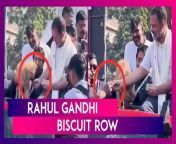 It’s Assam Chief Minister Himanta Biswa Sarma versus Congress leader Rahul Gandhi once again. A viral video shows Rahul Gandhi petting a puppy. Gandhi can be seen asking the party workers for biscuits to feed the puppy. Many supporters of the party can be seen talking to Gandhi while he pets the furry animal. Later, when Gandhi offers a biscuit to the puppy, the furry animal turns away. As the puppy refuses to eat, Gandhi offers the same biscuit to a supporter speaking to him. One user claimed that Rahul Gandhi disrespected Assam CM Himanta Biswa Sarma by forcing him to eat biscuits from the same plate as his dog. CM Sarma responded by saying,” …Not only Rahul Gandhi but the entire family could not make me eat that biscuit.” Watch the video to know more.&#60;br/&#62;