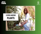 In this episode of Green Thumb, join us as we venture into the lush world of Josiane BORO/SIA&#39;s home garden, where every plant holds a fascinating tale. From aromatic herbs to vibrant salads, Josiane&#39;s passion for gardening shines through as she shares her secrets for cultivating a thriving green oasis.&#60;br/&#62;&#60;br/&#62;Josiane unveils the wonders of her botanical haven, showcasing the spider plant&#39;s air-purifying prowess and the versatile spinach varieties that double as culinary delights and traditional remedies. With patience as her guiding principle, Josiane imparts invaluable insights into the slow, rewarding journey of nurturing parsley and celery from seed to harvest.&#60;br/&#62;&#60;br/&#62;Discover practical tips, heartfelt anecdotes, and the joy of transforming your own garden into a vibrant sanctuary of nature!