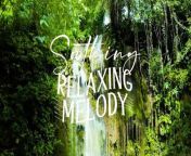 Heavenly Meditation Music - Calm Harmonies for Relaxation, Sleep, Anxiety Reduction from gong meditation milwaukee
