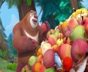 Hoo Hoo to the Rescue Bear Cartoon Cartoon In HD _ Full Episode In HD