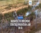 Hungary&#39;s new immigration measures, which were decided on January 1st but will come into effect this Friday, will be the strictest in the European Union.