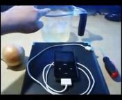 How to charge your iPod or other mp3 player for up to 20 minutes using electrolytes derived from Gatorade or Powerade which are then stored within the cells of an onion.