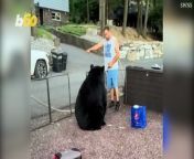 When 52-year-old Steve Baker arranged a 4th of July cookout for him and his family in Sonora, California, he didn’t imagine the lively celebration would be interrupted by a giant black bear. Lucky for us, Steve’s nephew Jack recorded the interaction with the animal and even though the clip is short, there’s a whole movie’s worth of drama in it.Yair Ben-Dor has more.