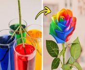 Embark on a vibrant journey into the world of color with our latest video! Dive into fresh coloring ideas and discover easy art hacks perfect for beginners.TIMESTAMPS:00:00 How to decorate your phone case in 1 minute00:54 How to make colorful roses 05:00 Easy drawing ideas