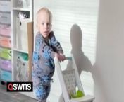 A mum and dad made the agonising decision to let doctors amputate her son&#39;s toes - so he could finally take his first steps.&#60;br/&#62;&#60;br/&#62;Brodie Arbon-Davis, one, was born with the PIK3CA mutation - a rare condition which causes blood vessel and lymphatic malformation on the bottom half of his body.&#60;br/&#62;&#60;br/&#62;It means his feet were filled with fluid, his blood vessels were malformed and scans showed he only had two functioning toes on each foot.&#60;br/&#62;&#60;br/&#62;It left him in agony - and doctors told his mum, Holly-Louise Mackie, 26, that the tot would never walk unaided or wear shoes. &#60;br/&#62;&#60;br/&#62;But she took a chance and in November last year, Brodie had surgery to amputate his toes in the hope it would reduce pain, thus allow him to walk.&#60;br/&#62;&#60;br/&#62;He tried to walk just hours after the op - and it was a huge success. &#60;br/&#62;&#60;br/&#62;Now, despite the odds, Brodie is walking unaided and has started nursery.&#60;br/&#62;&#60;br/&#62;Holly-Louise, a full-time mum, from Dover, Kent, said: “Brodie was born this way - and it’s a blessing in disguise. &#60;br/&#62;&#60;br/&#62;&#92;