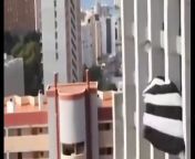 Jumper has been filmed smashing into a hotel after her parachute failed to open properly when she leapt from a 160 metre-high building in Spain. Austrian Maria Steinmayr, 22, survived with bruises and scrapes to her elbows, knees and nose after she jumped from the roof of the Bali Hotel in Benidorm on Friday, Salzburg 24 reported.