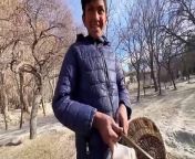 shirazi vlogs, funny videos,mountains
