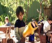 South Australia’s unemployment rate has dropped to a new record low and now sits half a percent below the national level. The result comes as the State Government unveils which public kindergartens will trail out-of-school hours for children.