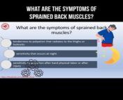What are the symptoms of sprained back muscles? #backmuscles #muscles #backpain
