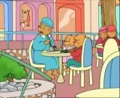 The Berenstain Bears_ The Giant Mall _ The Giddy Grandma from lima auto mall