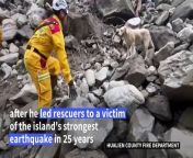 Two search dogs, a labrador named Roger and a Jack Russell terrier named Wilson, have become unlikely stars in Taiwan for their heroics in helping to find and rescue several victims of a magnitude-7.4 quake, the island&#39;s strongest in 25 years. At least 13 people have been killed and more than 1,140 injured by the earthquake which struck the island on 3 April.