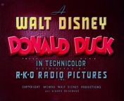 Donald Duck - Old MacDonald Duck .. 1941Disney Toon from phim tranh 1941