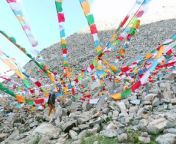 Finally, I embarked on the mountain circumambulation trek at Mount Kailash with my dog!&#60;br/&#62;According to the initial plan, we were supposed to complete the circumambulation in a day, but some unexpected events occurred along the way...