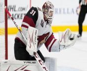 Canucks vs Coyotes: Predictions on Vancouver's potential win? from www bangla az 2015