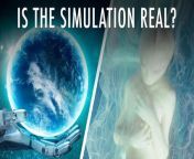 Does The Simulation Exist? | Unveiled XL from the great of nature