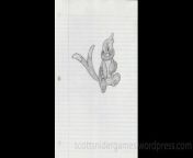 A pencil sketch, of a Buizel pokemon. Drawn by Scott Snider. Uploaded 04-10-2024.
