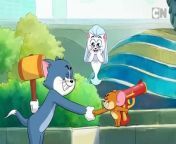 Compilation | Tom & Jerry | Cartoon Network from tom and jerry busy buddies