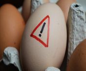 No matter the meal, eggs are a kitchen staple, so it&#39;s important to know the tell-tale signs for when they&#39;re no longer safe to eat. There&#39;s more to scoping out a bad egg than meets the eye — so let&#39;s get crackin&#39;!