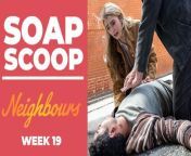 Coming up on Neighbours... Haz&#39;s life hangs in the balance after he&#39;s run over.