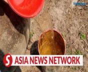Saltwater intrusion in the Mekong Delta provinces is expected to be more intense and persistent this dry season compared to previous years.&#60;br/&#62;&#60;br/&#62;The high salinity levels, reaching 4 parts per thousand, are causing significant disruptions to crop irrigation and affecting the daily lives of residents in the region.&#60;br/&#62;&#60;br/&#62;WATCH MORE: https://thestartv.com/c/news&#60;br/&#62;SUBSCRIBE: https://cutt.ly/TheStar&#60;br/&#62;LIKE: https://fb.com/TheStarOnline&#60;br/&#62;