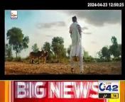 ONA DAP BORON by FFC Fauji Fertilizer Company TVC from hd hindi songshokh new tvc
