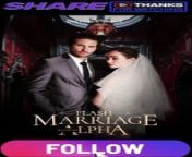 flash marriage with my alpha PART 1 from 11 abhi ajnabee pt 2