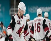 Arizona Coyotes Relocate to Salt Lake City: Impact and Analysis from salt songdownload amar