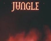 Coachella: Jungle Full Interview from jungle side kick