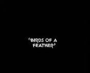 Birds of a Feather (1931) from sesame street big bird compilation