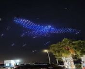 Drone show in Abu Dhabi - giant falcon from falcon logo design
